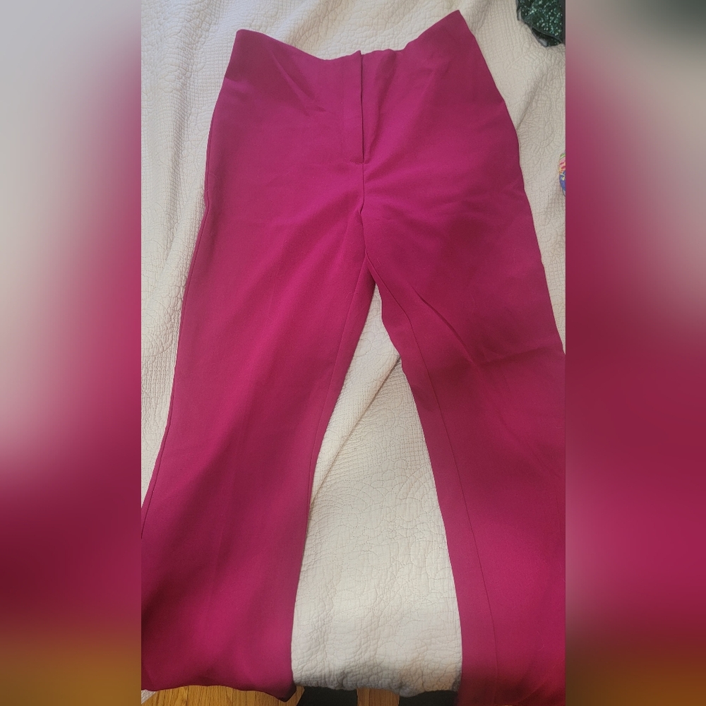 Elegant Pink Women's Pants